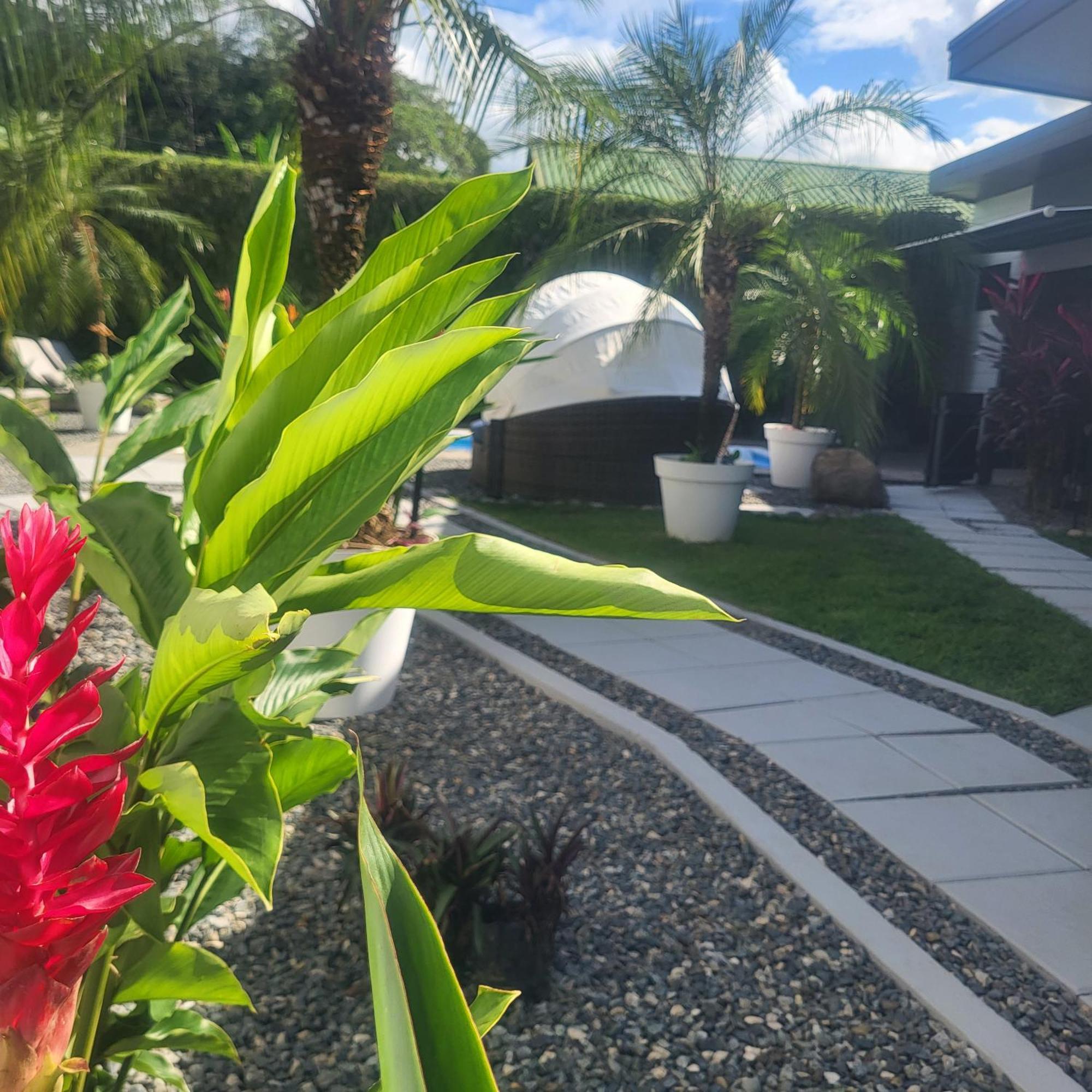 Madre Terra Bed & Breakfast Uvita Eksteriør bilde