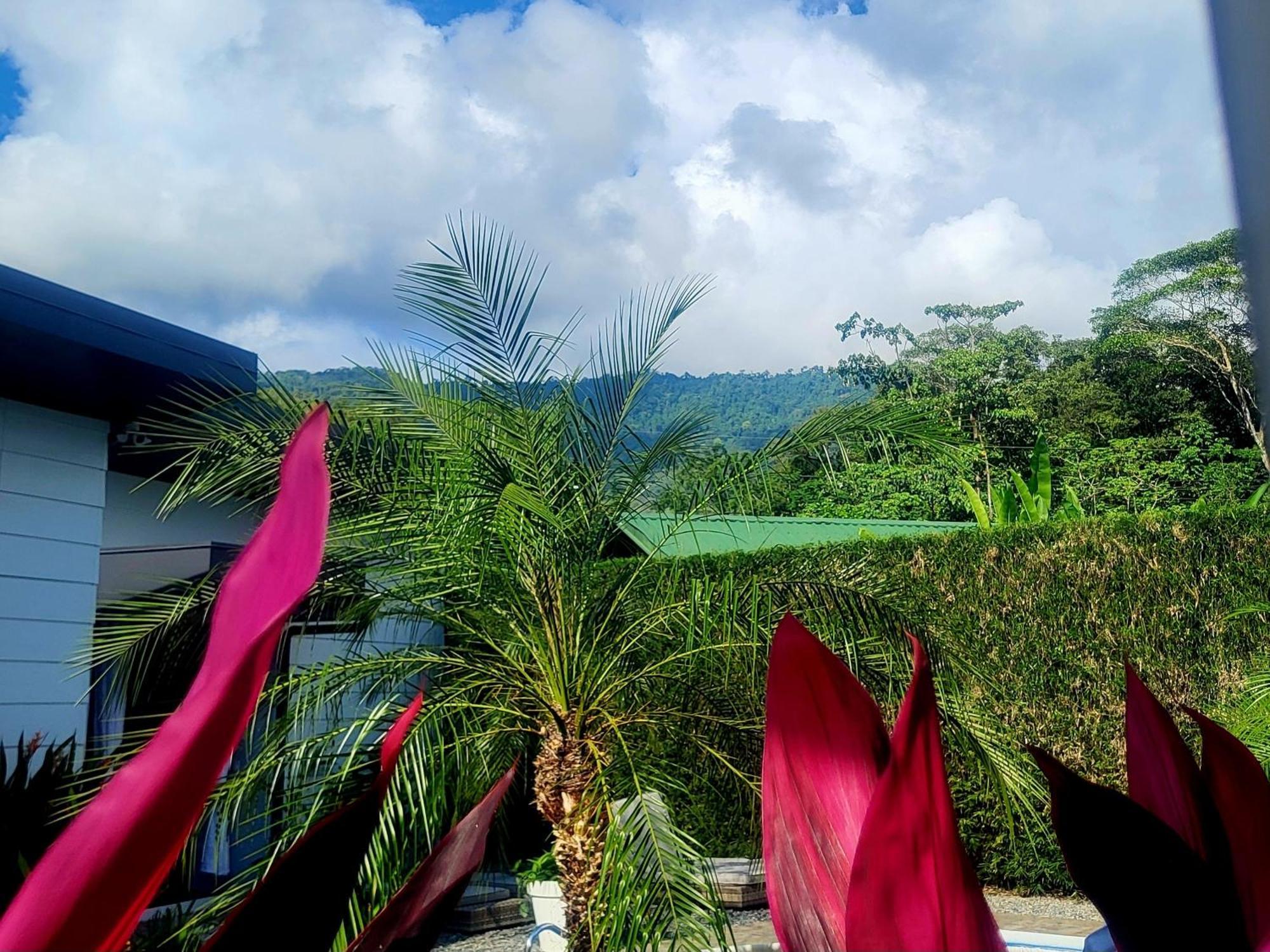 Madre Terra Bed & Breakfast Uvita Eksteriør bilde